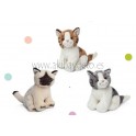 Set 3 peluches gatos
