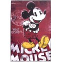 Lamina mickey mouse
