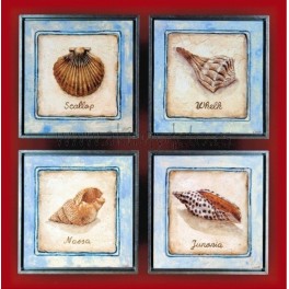 Cuadro conchas de mar