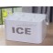 Cesta ICE