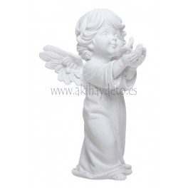 Ángel c/paloma