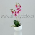 Vaso mini c/Orquídea